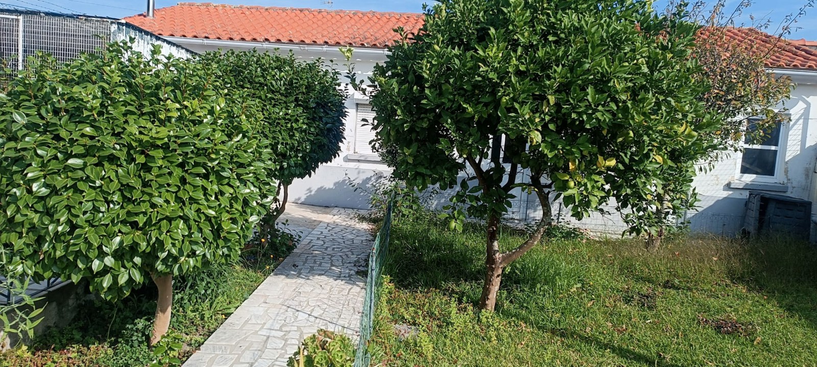 41-whatsapp-image-2025-10-07-at-15jpg