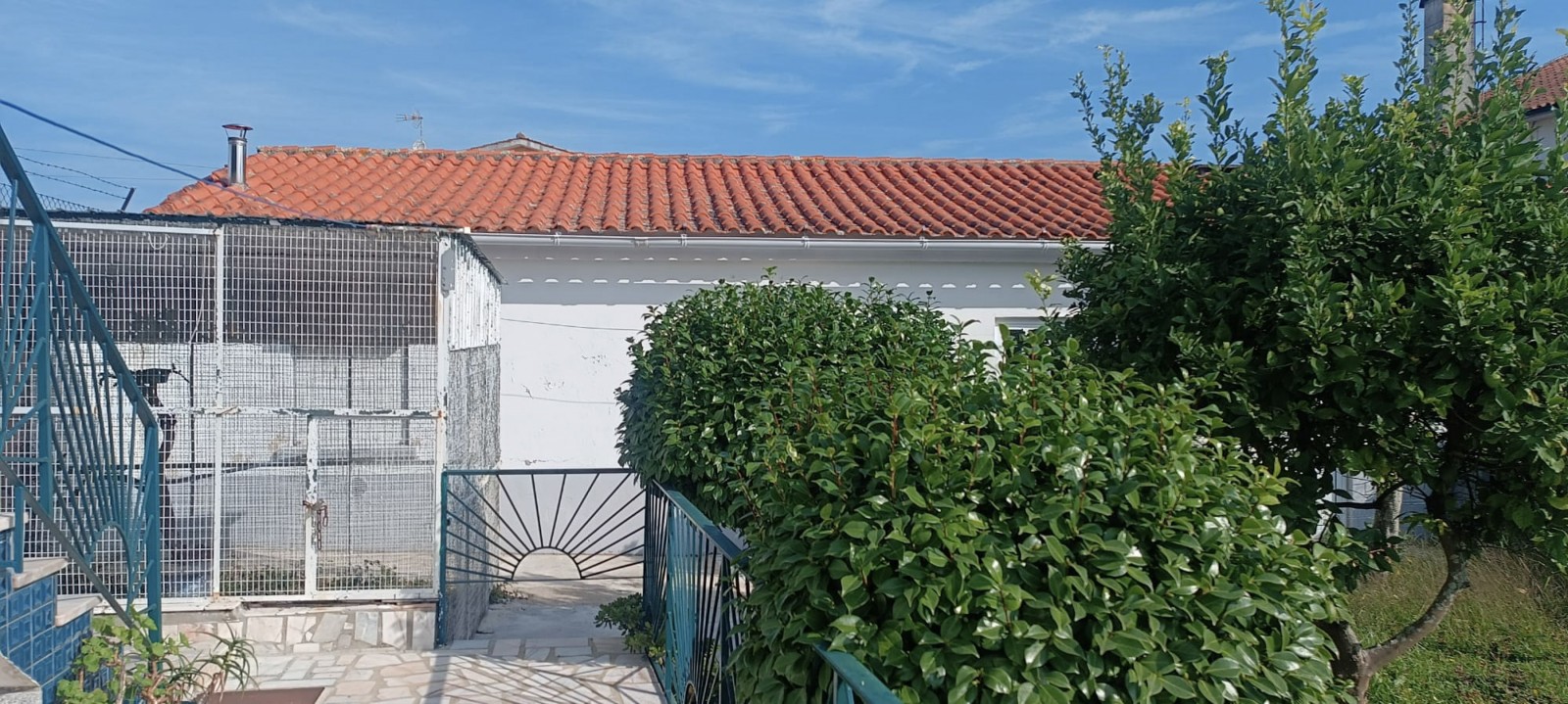 43-whatsapp-image-2025-10-07-at-15jpg