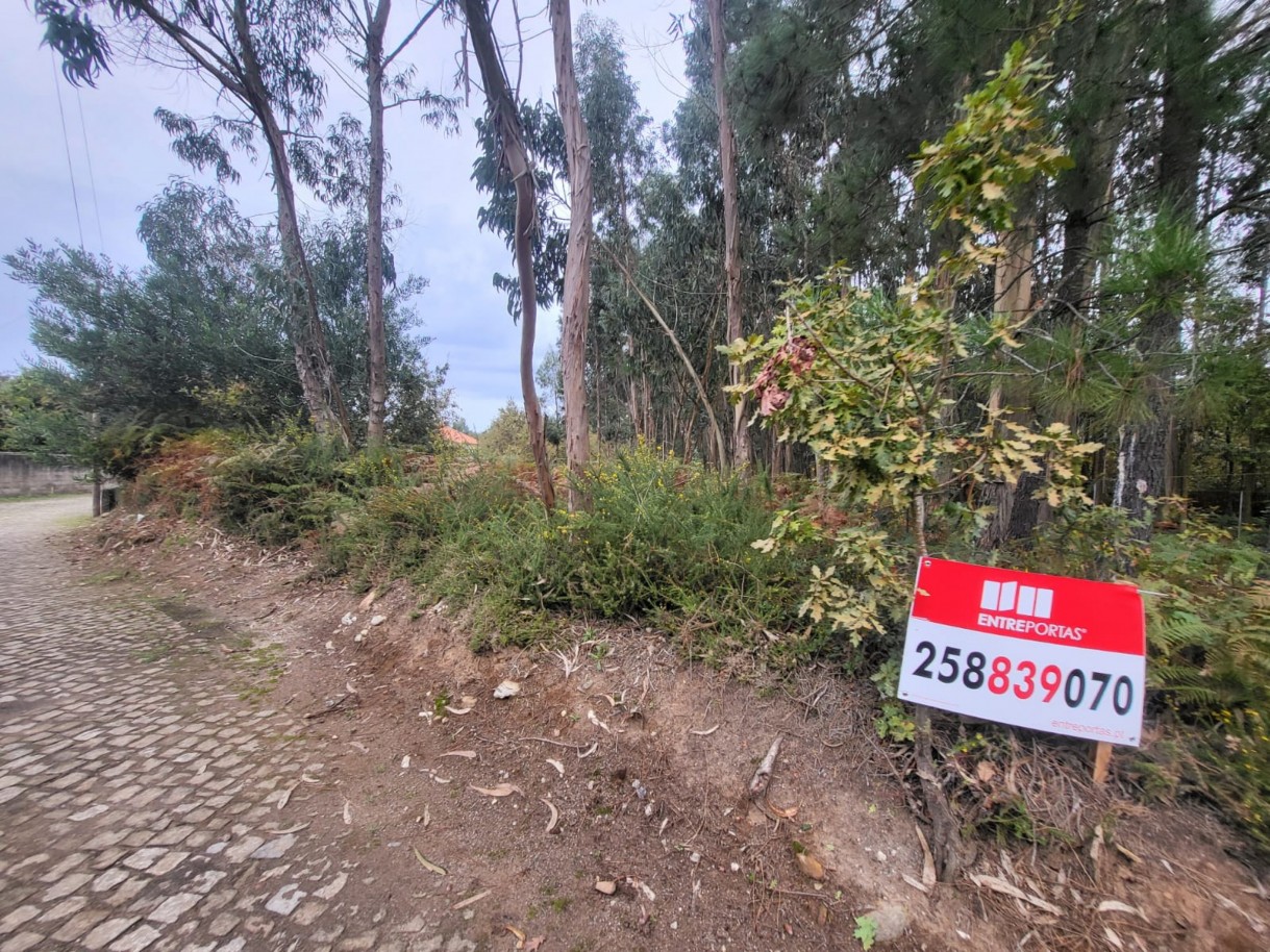 7e3e0d65-a1b0-4b15-bf8d-a4e58ff6d20djpeg