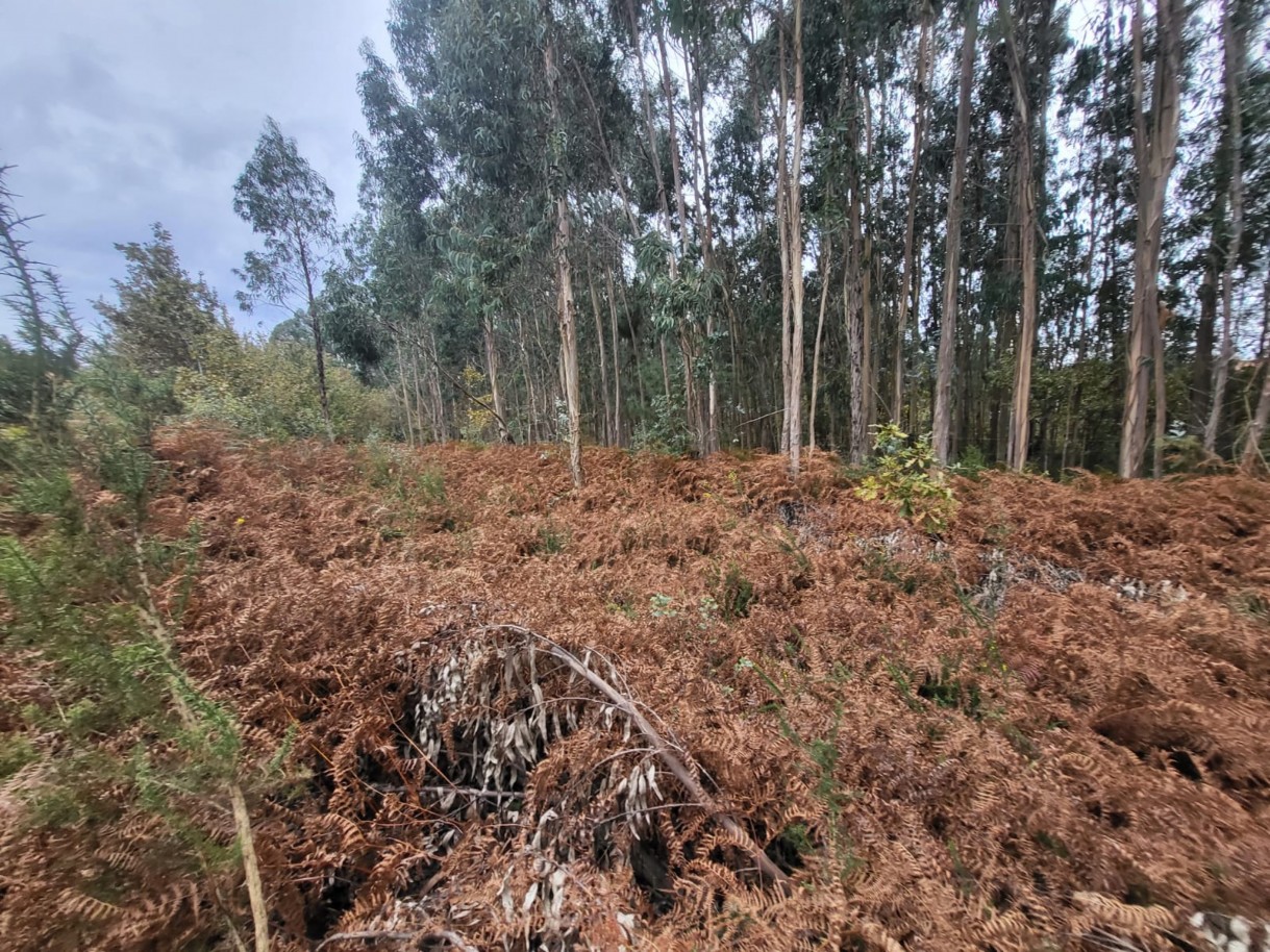 5719454b-aced-4b1e-8693-920808a45d2bjpeg