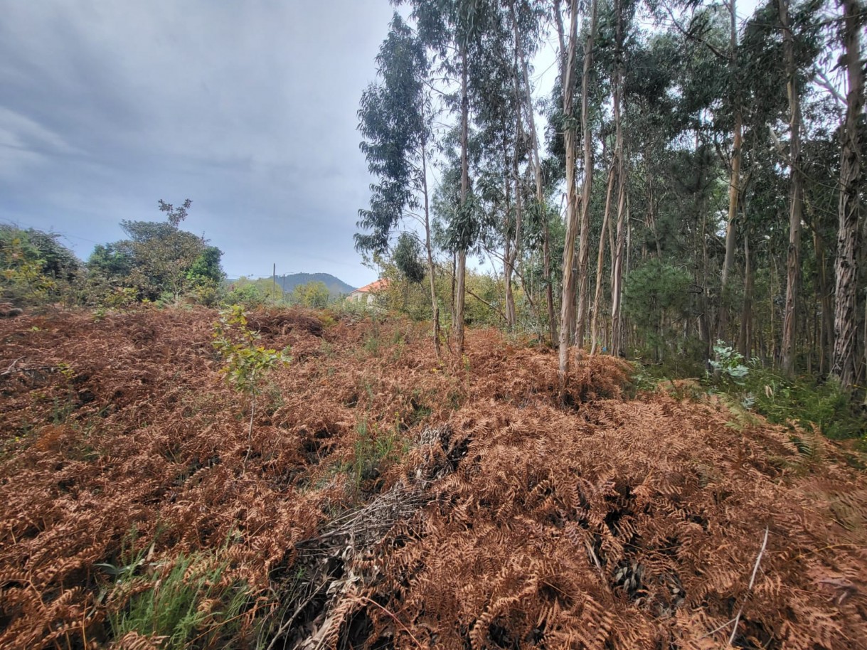 8956f453-62d5-4644-874c-afcc48b4d7aejpeg