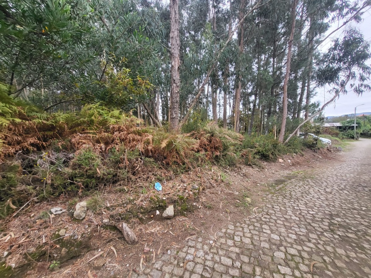 ff9670ed-7d7f-41f8-a328-703a8c1bce9djpeg