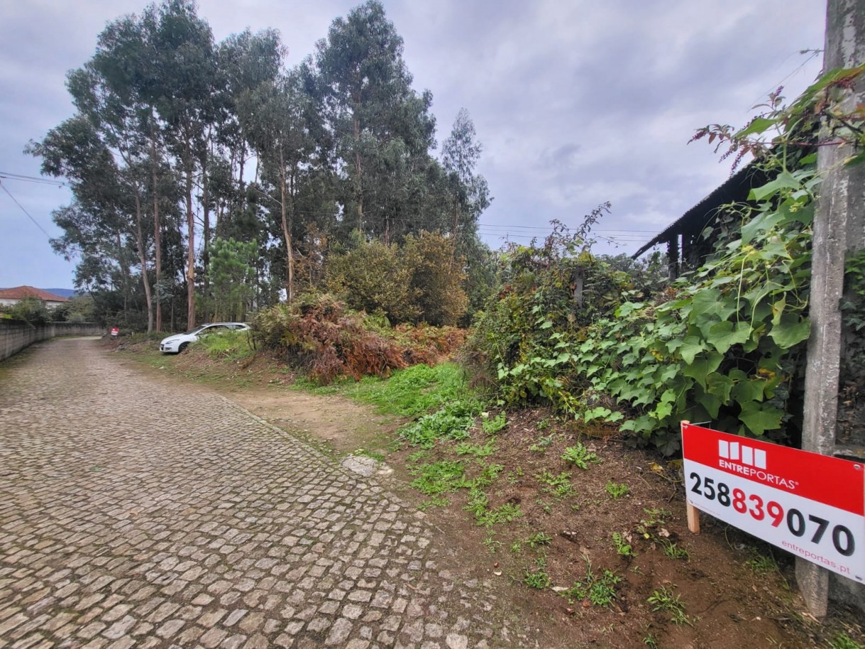 bd57a6d7-d0c7-4307-82de-27faa0bffbfajpeg