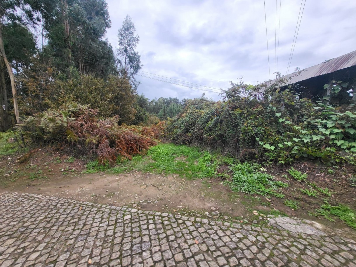 642dcc5f-da1d-4327-8463-6b63aa827e4bjpeg