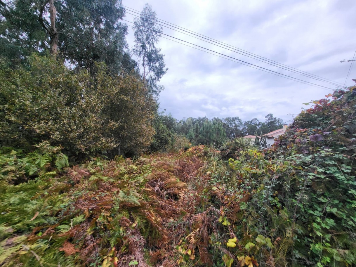 290076c2-c018-4ba0-b464-a0251a8407c4jpeg