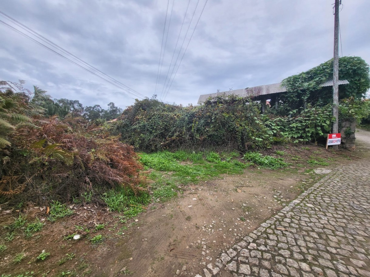 a65d9664-ce6e-40f4-884a-c20f9099ab67jpeg