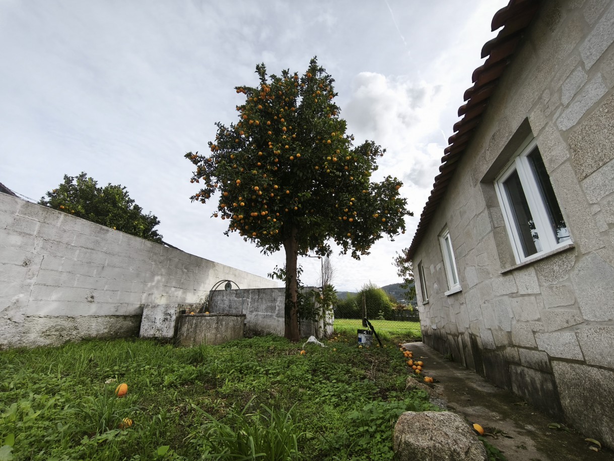 img-20251101-150339jpg