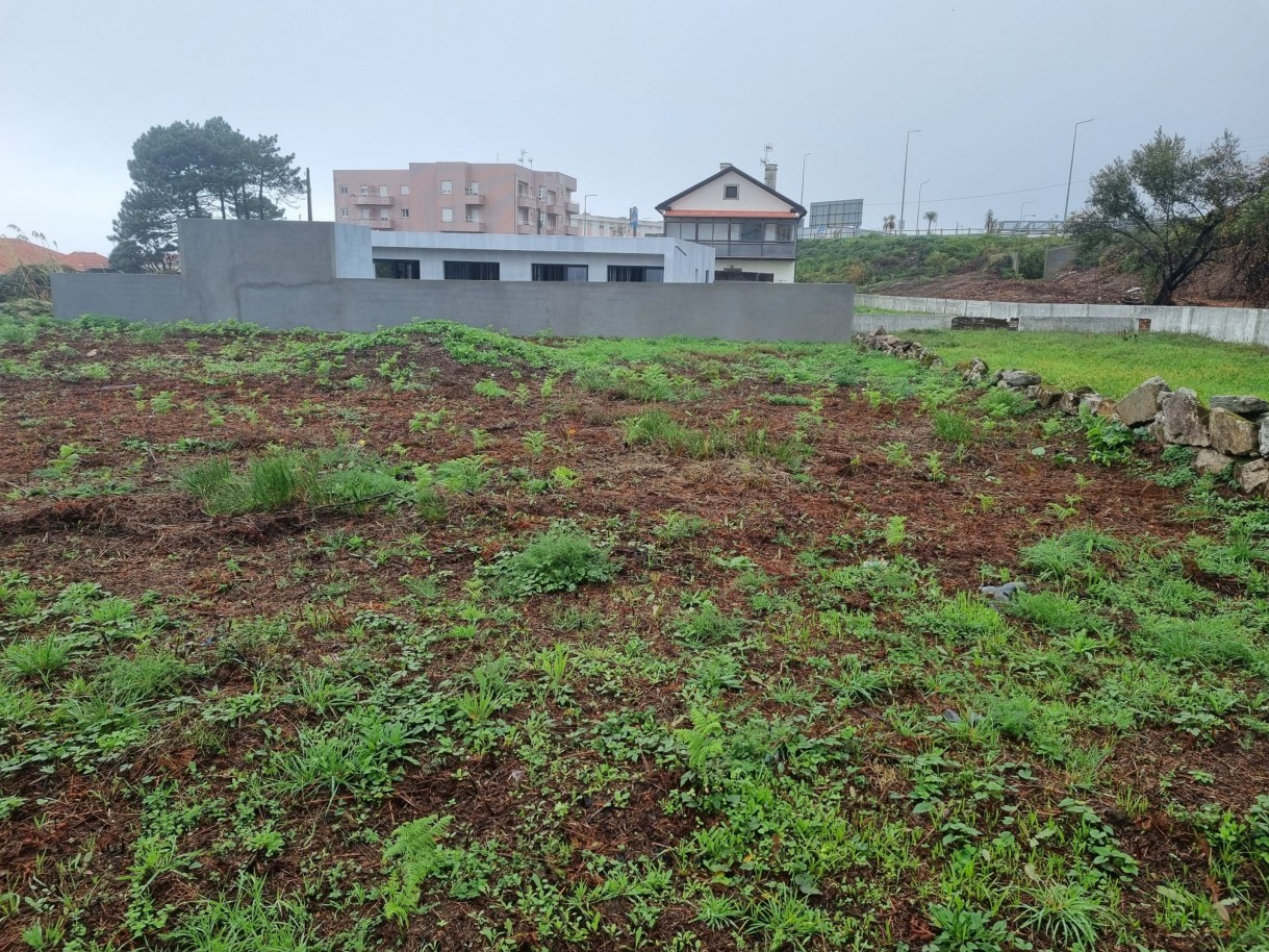 whatsapp-image-2025-10-30-at-143549-2jpeg