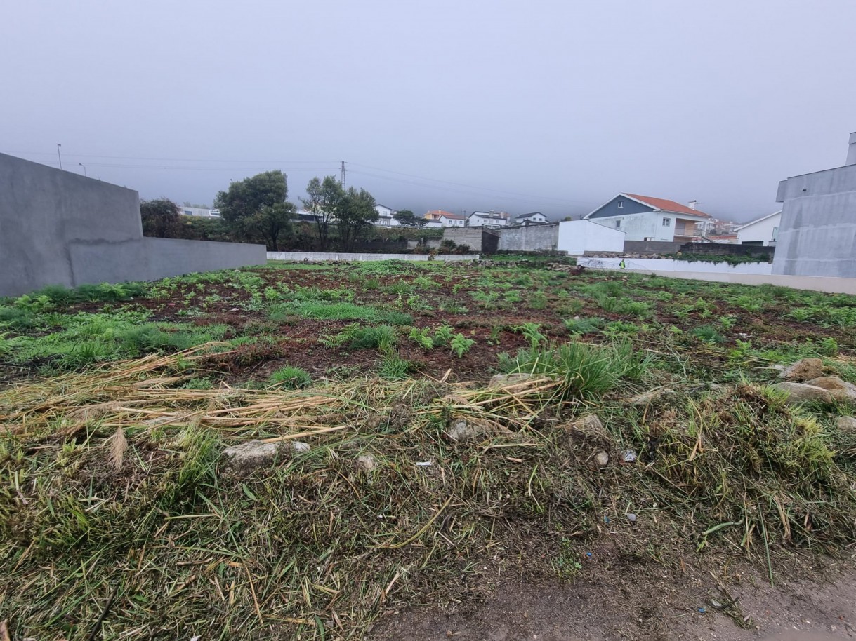 whatsapp-image-2025-10-30-at-143550-2jpeg