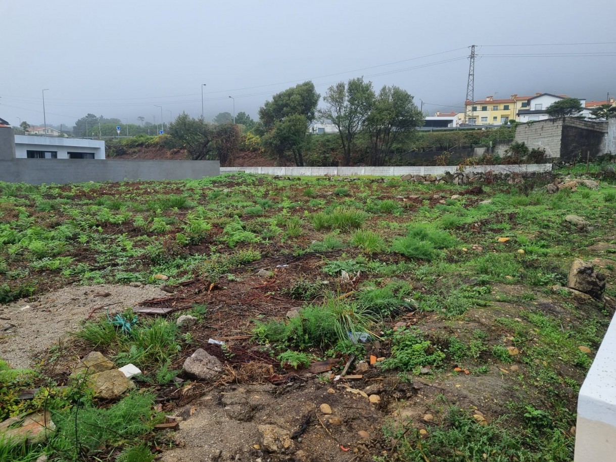 whatsapp-image-2025-10-30-at-143550jpeg