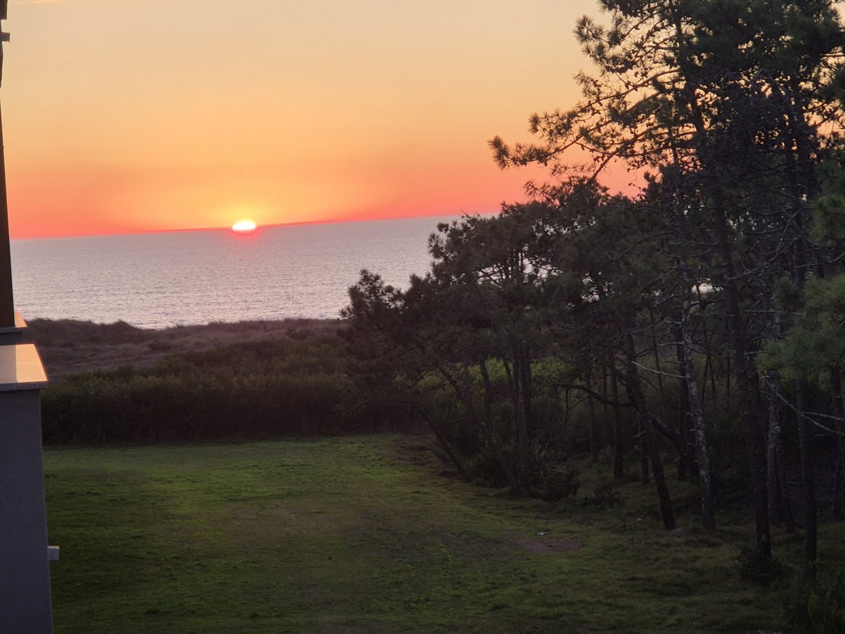 ca835602-8759-48e1-86c5-b0b0f2de8e8ejpg