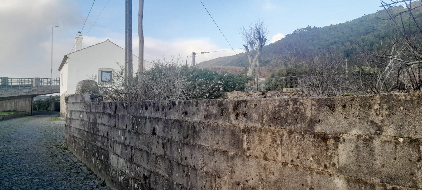 7-whatsapp-image-2024-04-03-at-12jpg