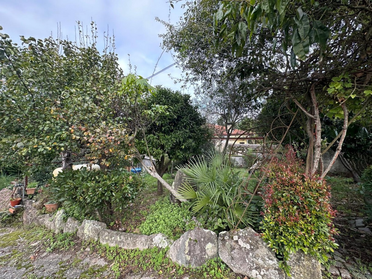 8c1e4581-acce-48eb-951c-a38695b0c7b5jpeg