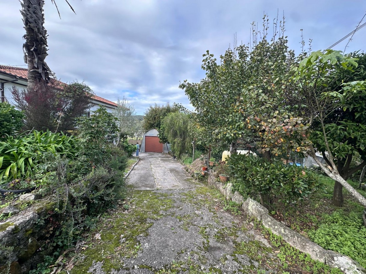 fa73c2b9-4690-45f0-b18d-bee9e670a815jpeg