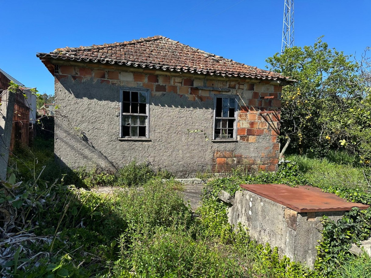 whatsapp-image-2025-11-13-at-152933jpeg