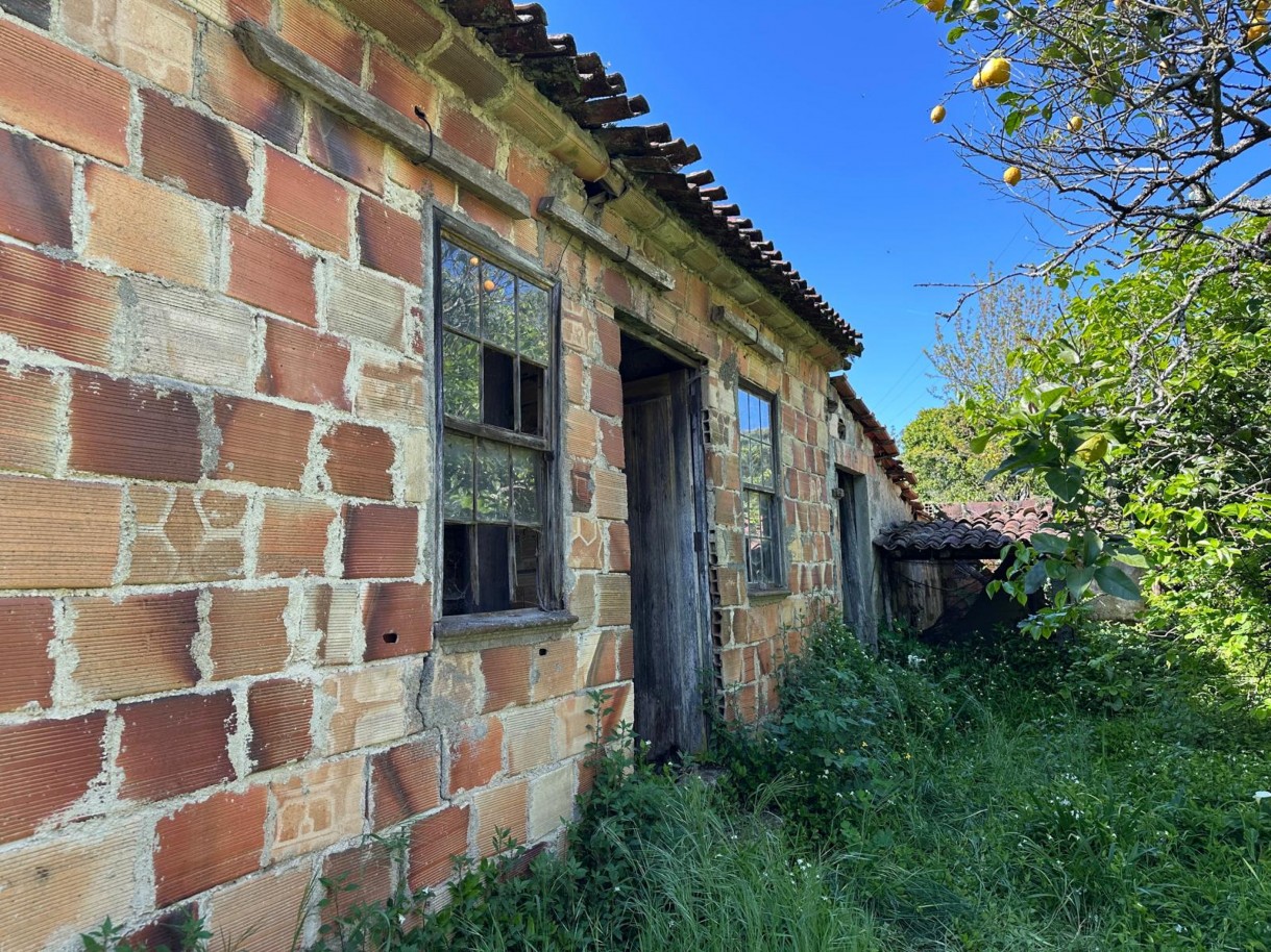 whatsapp-image-2025-11-13-at-152934-2jpeg