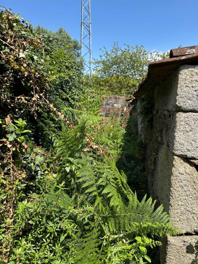 whatsapp-image-2025-11-13-at-152934-1jpeg