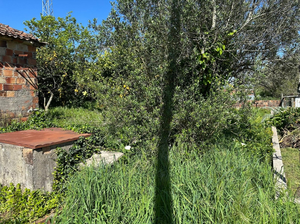 whatsapp-image-2025-11-13-at-152934jpeg