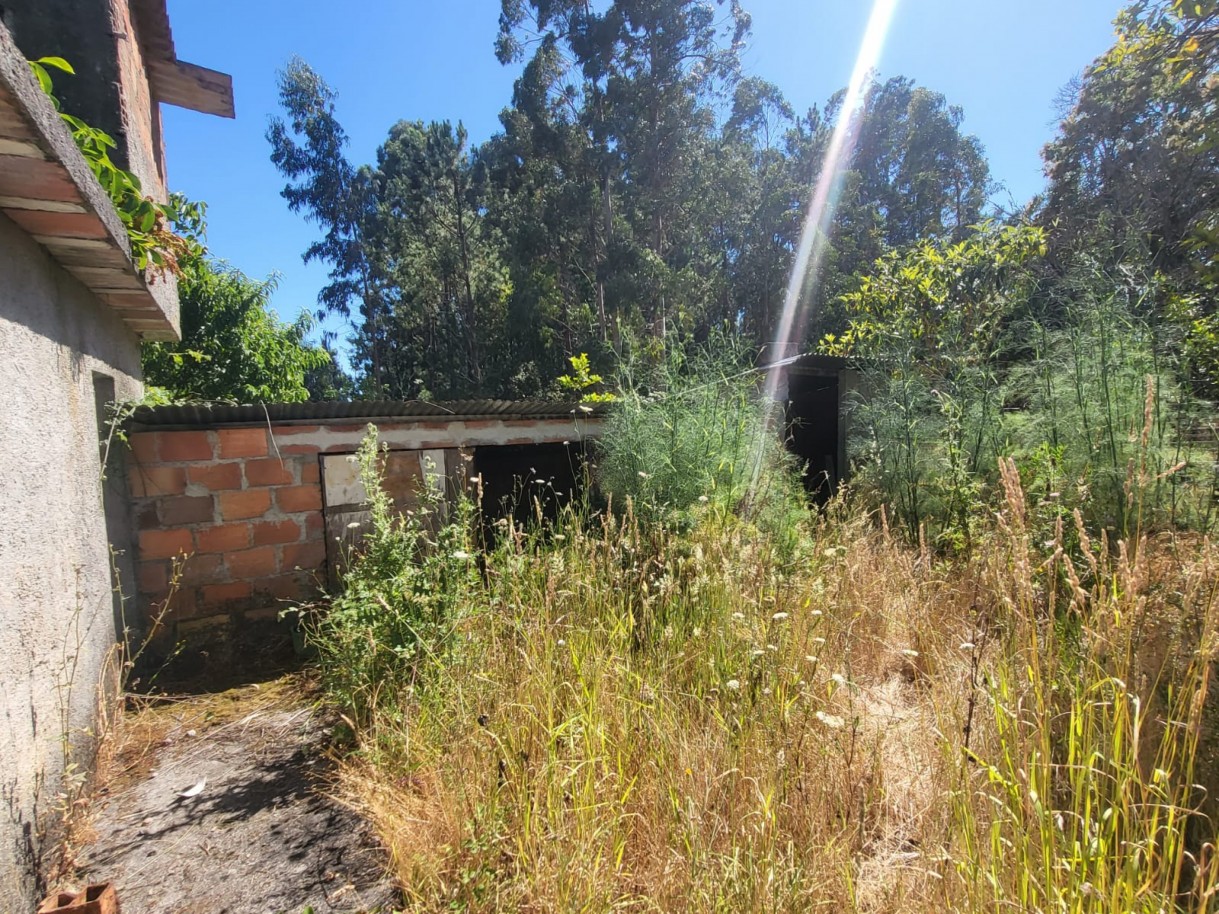 whatsapp-image-2025-10-22-at-111353-1jpeg