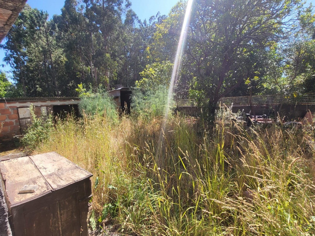 whatsapp-image-2025-10-22-at-111353jpeg