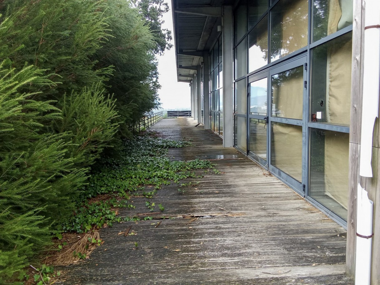 2-whatsapp-image-2025-12-02-at-13jpg