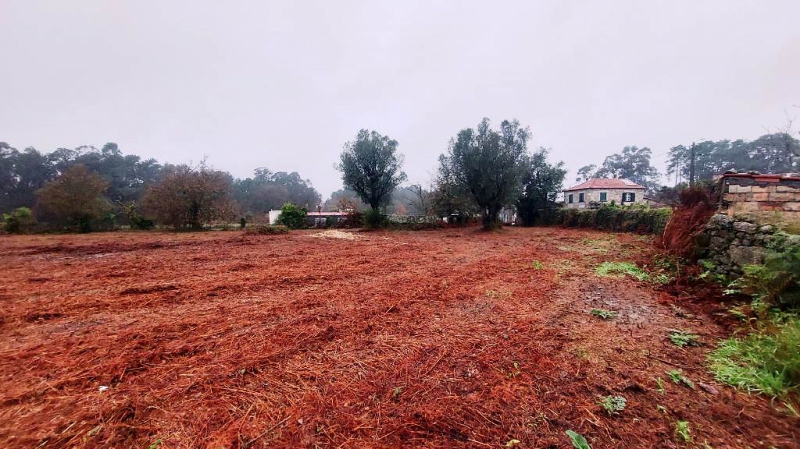 208b6141-348e-4f53-a589-a5f1cb1b0d49jpg