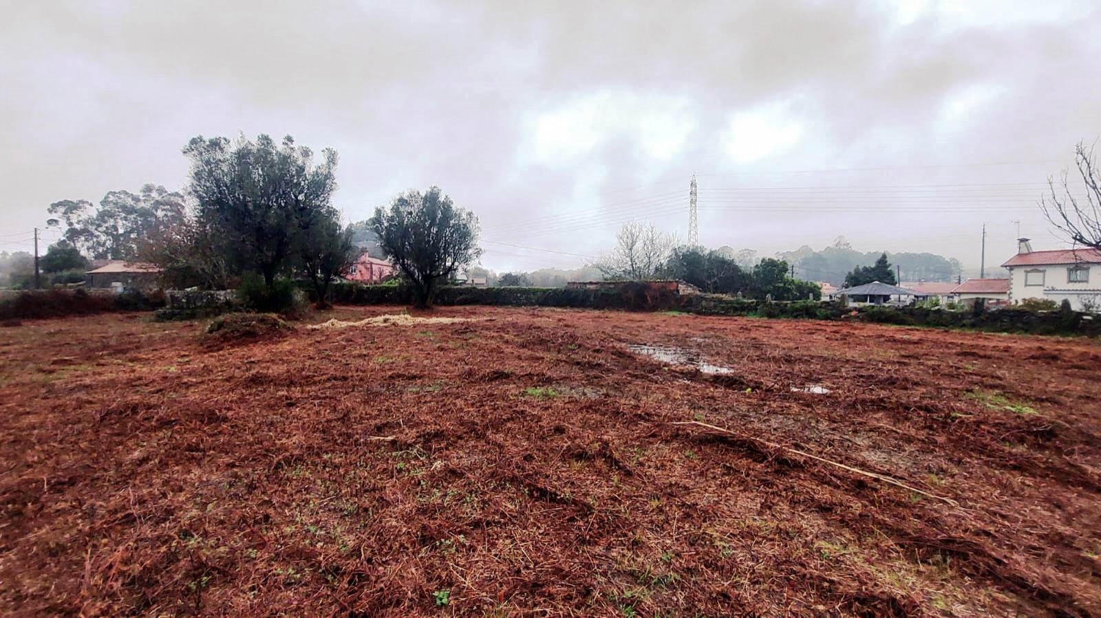 9ebe41c5-4ead-4b32-9ad1-99f105e82884jpg