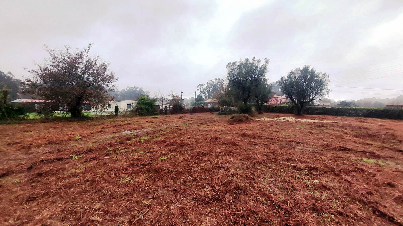 6a36c7a7-50cd-4f35-8be4-1b22388a75dajpg