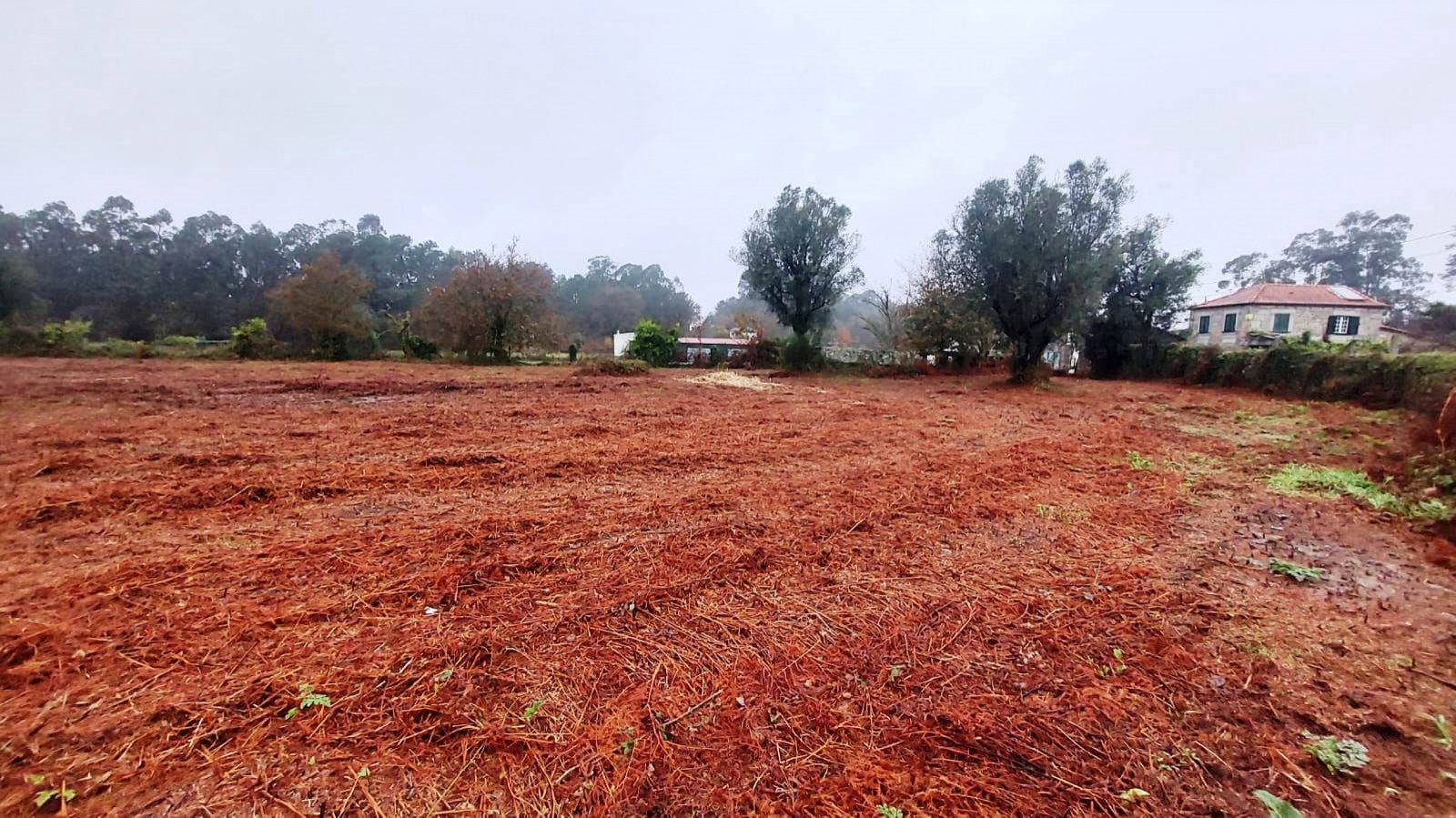 65c7f199-8c6e-4964-8499-563a570f6692jpg