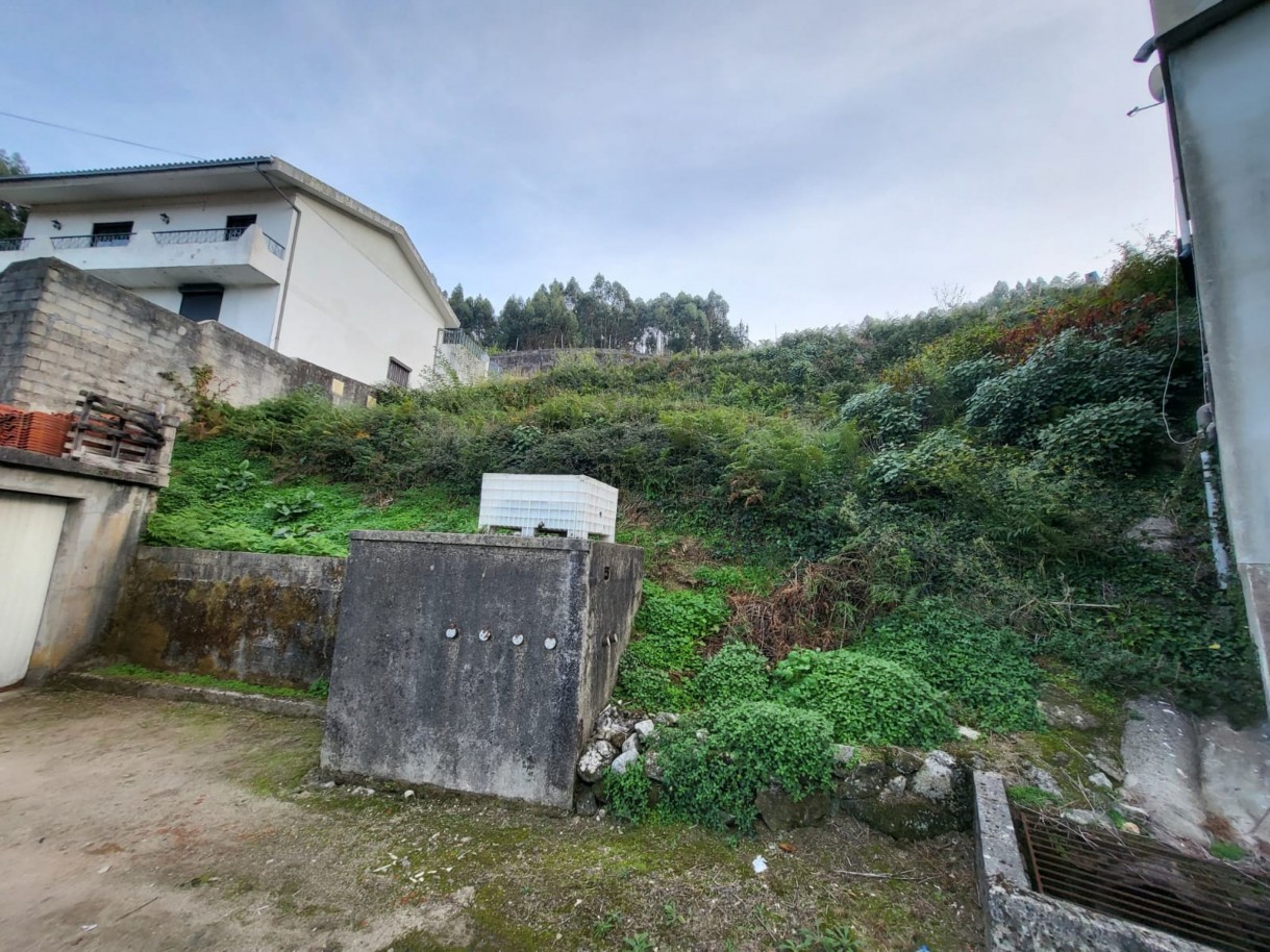 img-20251015-wa0003jpg