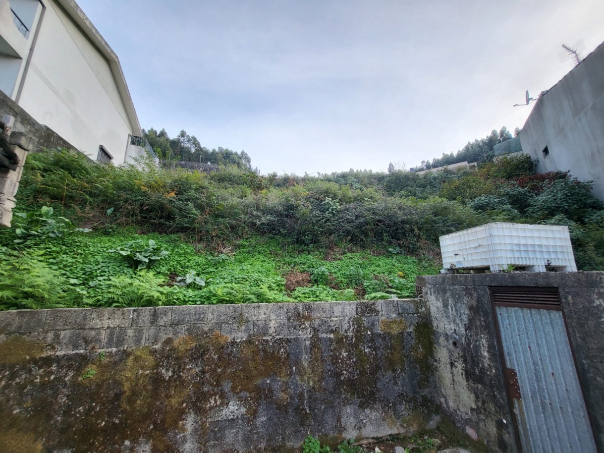 img-20251015-wa0005jpg