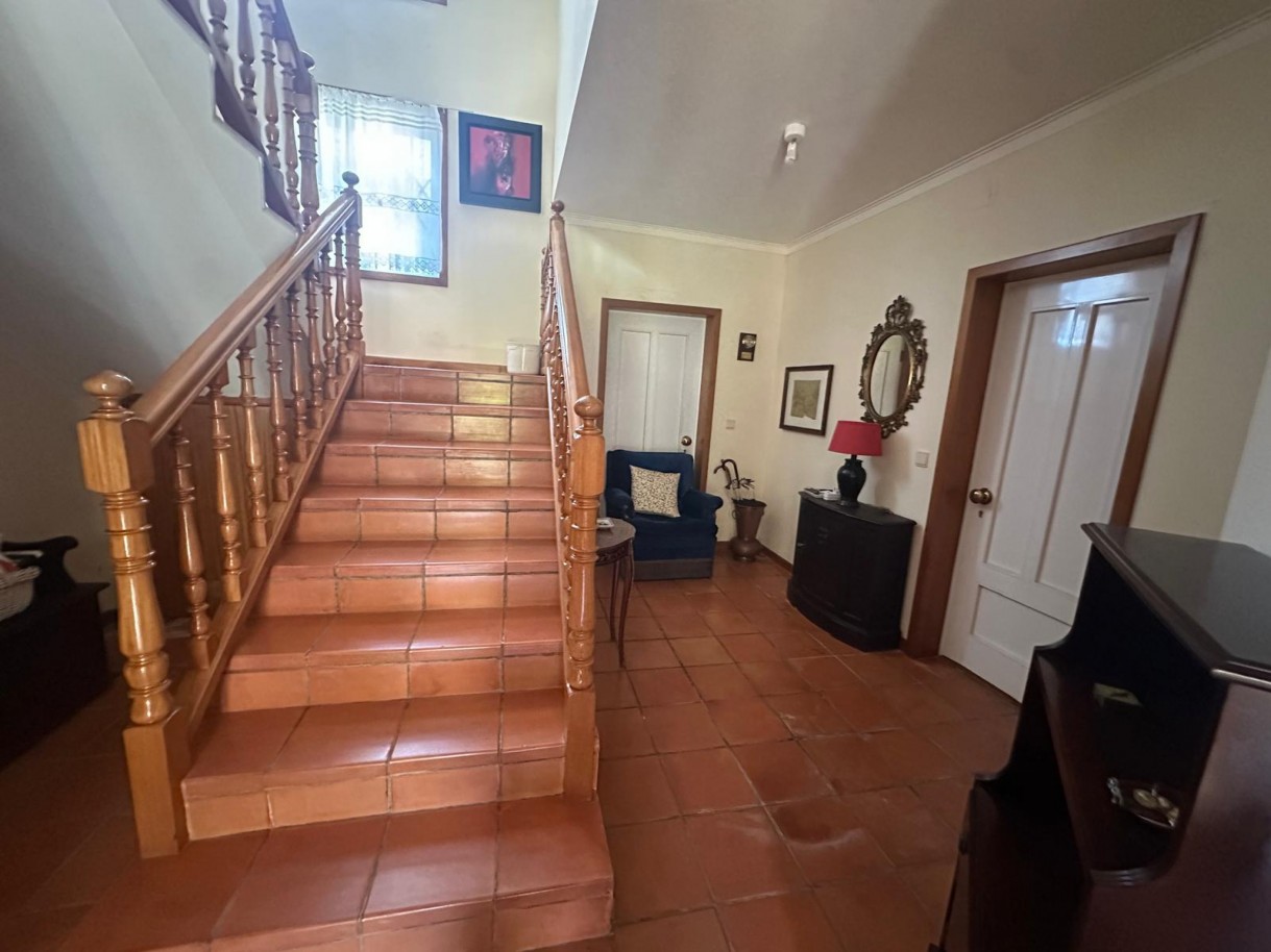 00fa91bc-ff9e-48af-a898-43d76dfbbbd0jpeg