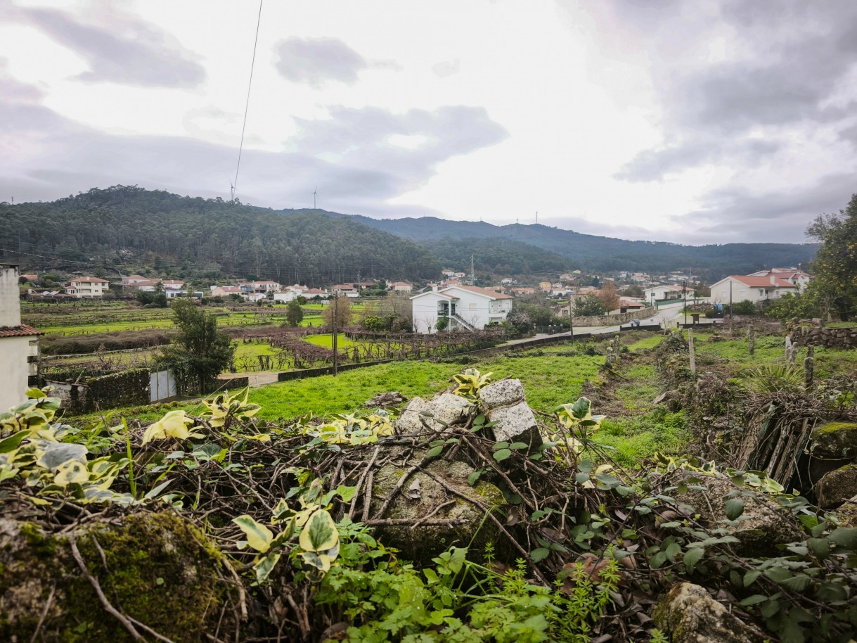 3-img-20251212-121125jpg