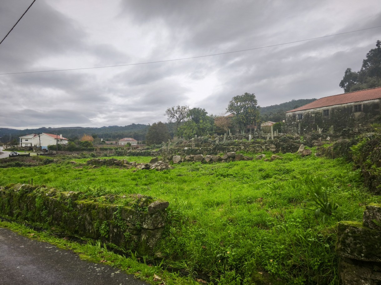 5-img-20251212-120149jpg