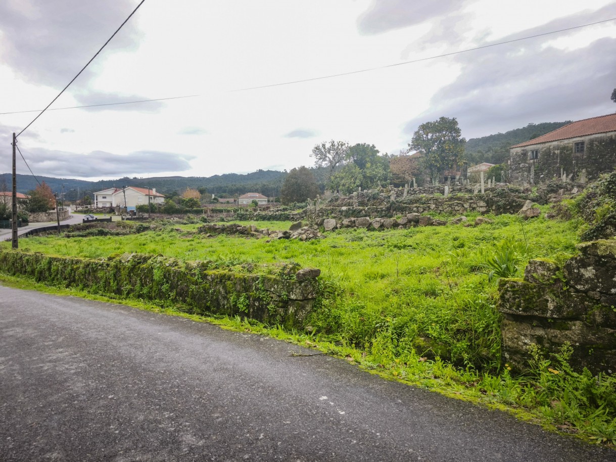 4-img-20251212-120207jpg