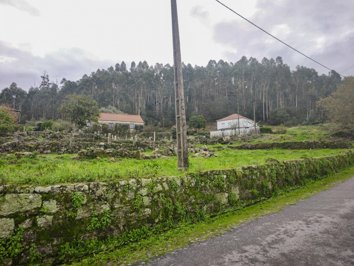 8-img-20251212-120117jpg