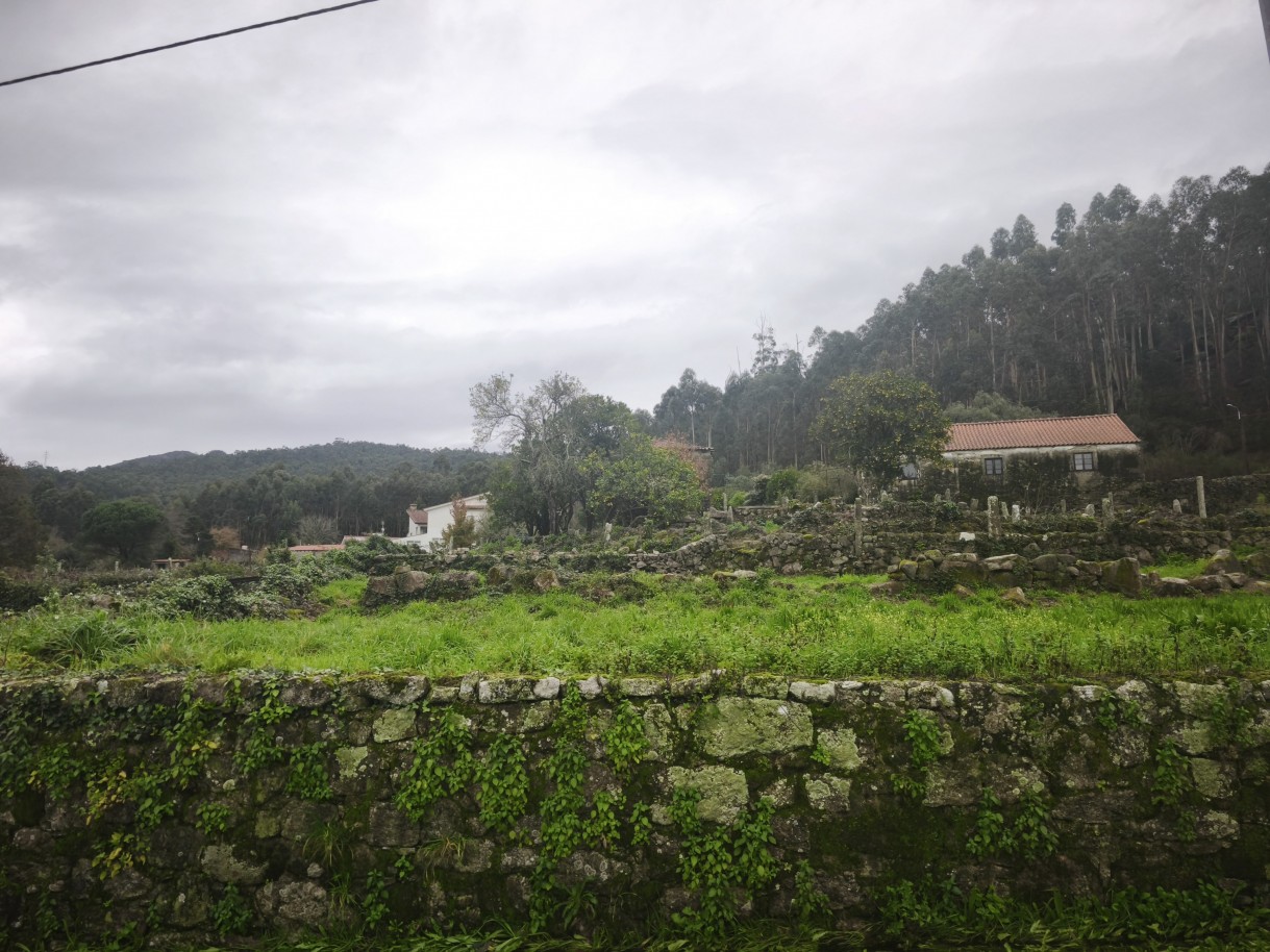 7-img-20251212-120119jpg