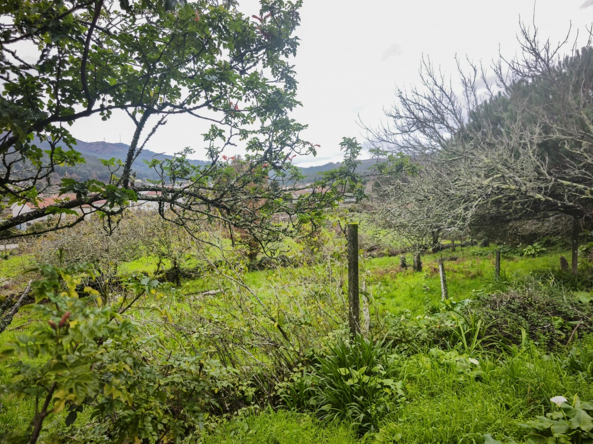 1-img-20251212-121300jpg