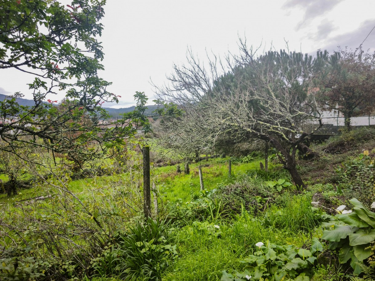 2-img-20251212-121259jpg