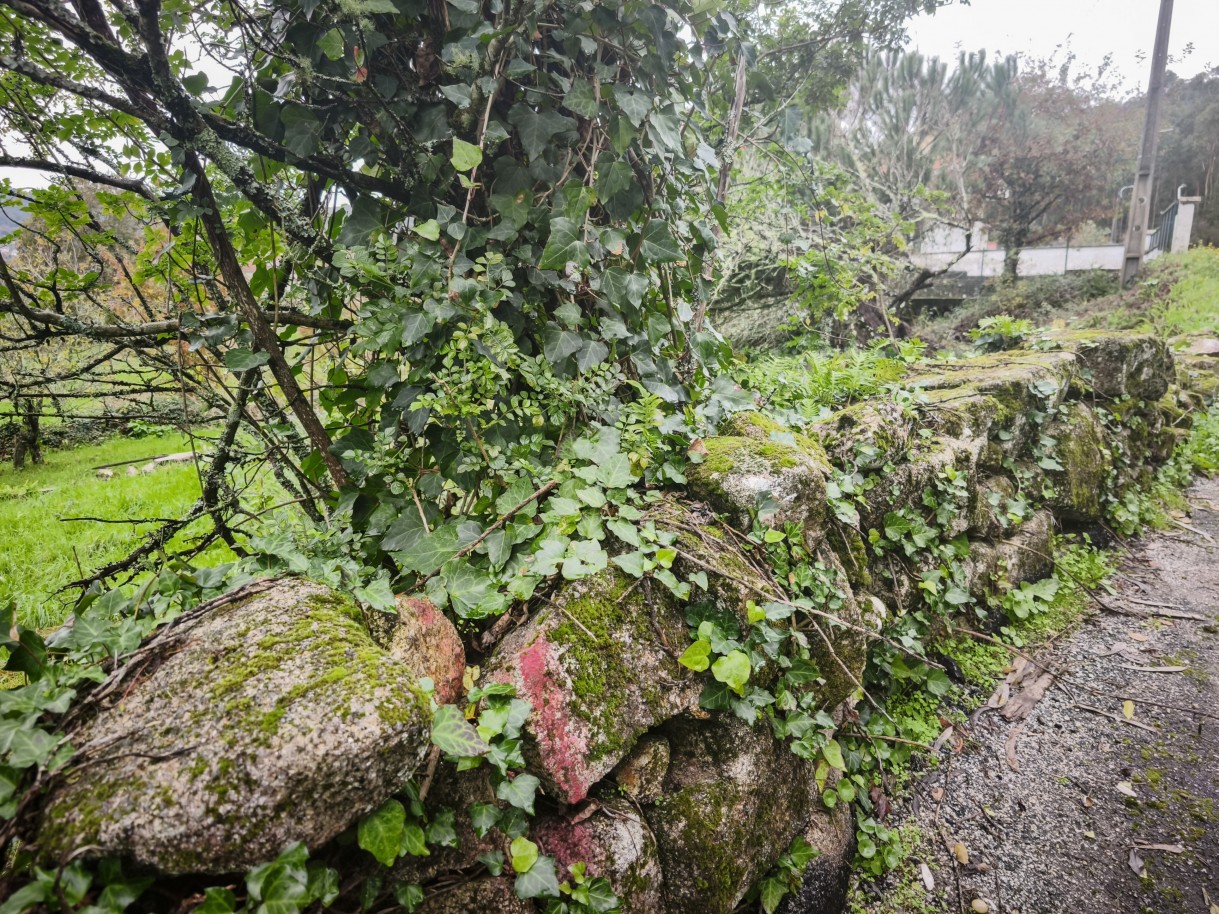 3-img-20251212-121253jpg