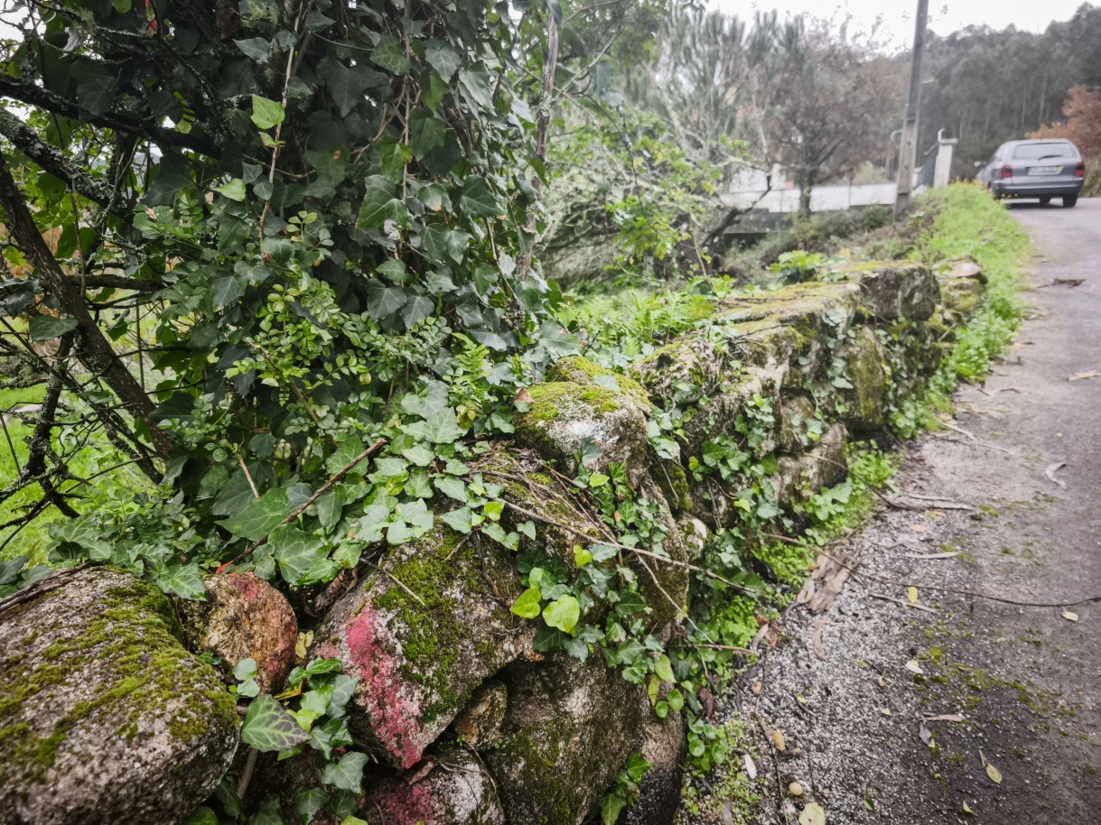 4-img-20251212-121250jpg