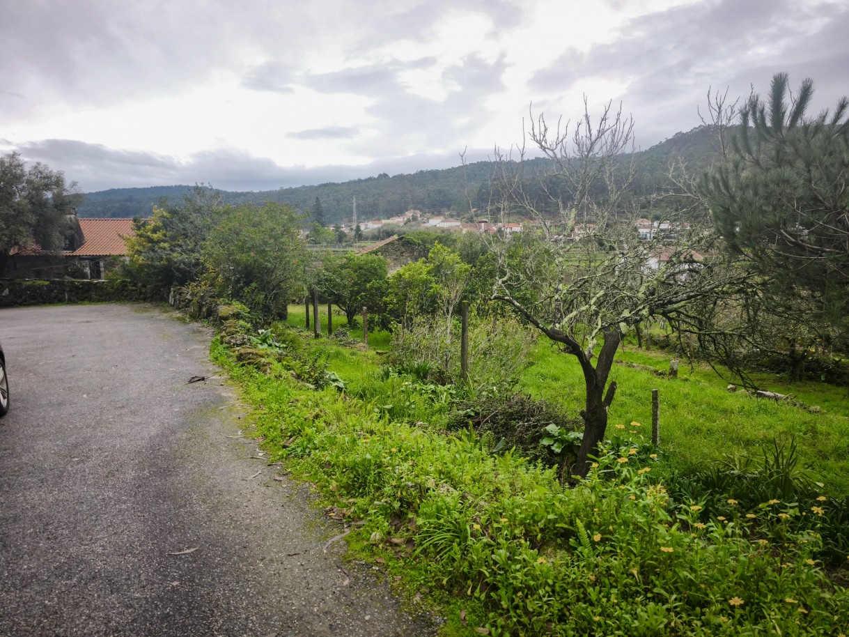 6-img-20251212-120525jpg