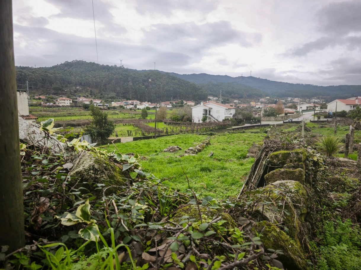 1-img-20251212-121156jpg