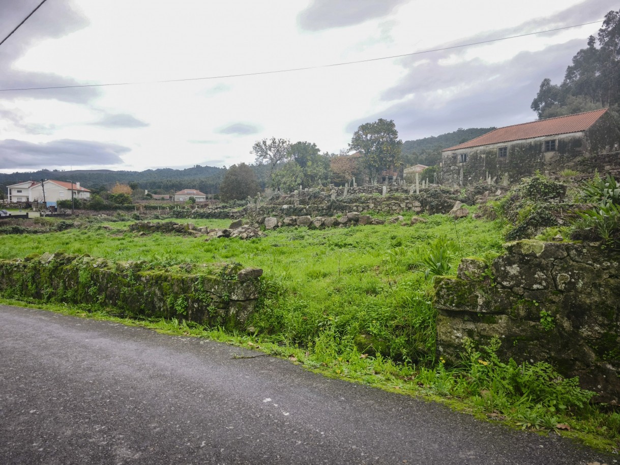 2-img-20251212-120208jpg