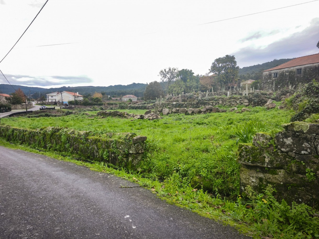 4-img-20251212-120202jpg