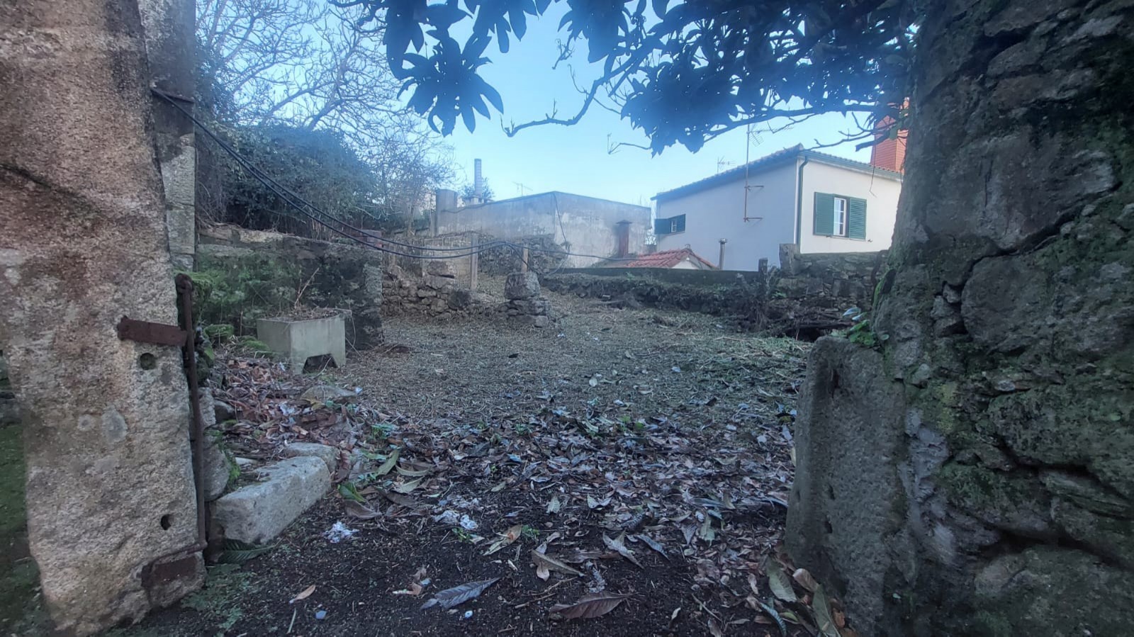 4e32514f-a728-4498-87fd-2f8efc3dad57jpeg