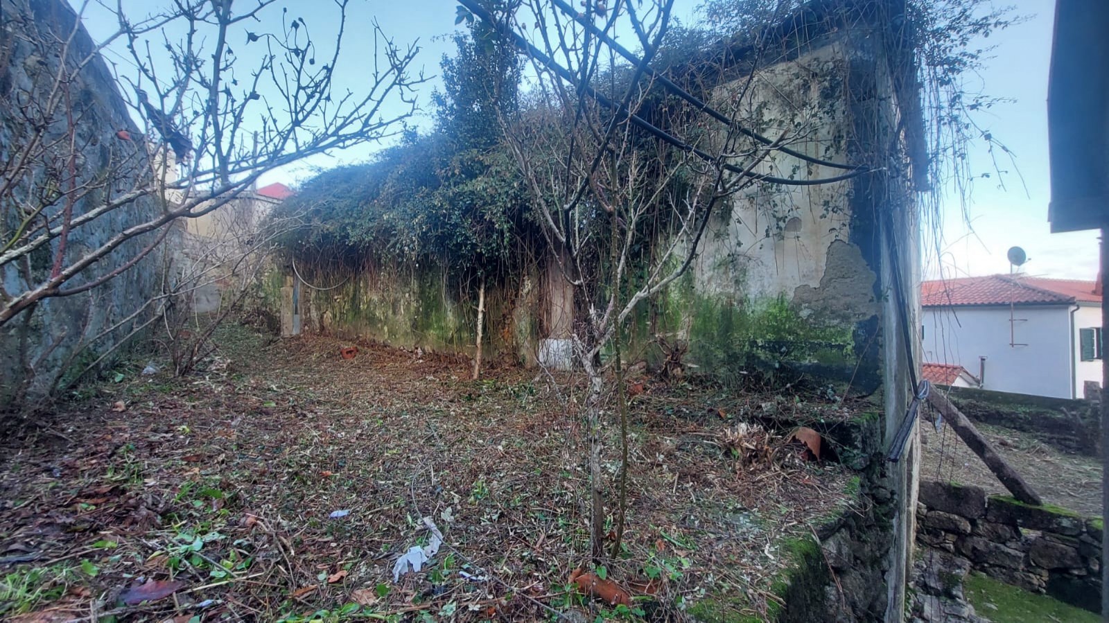 2d30fc5c-f498-419a-aadd-5960cc99a49ejpeg