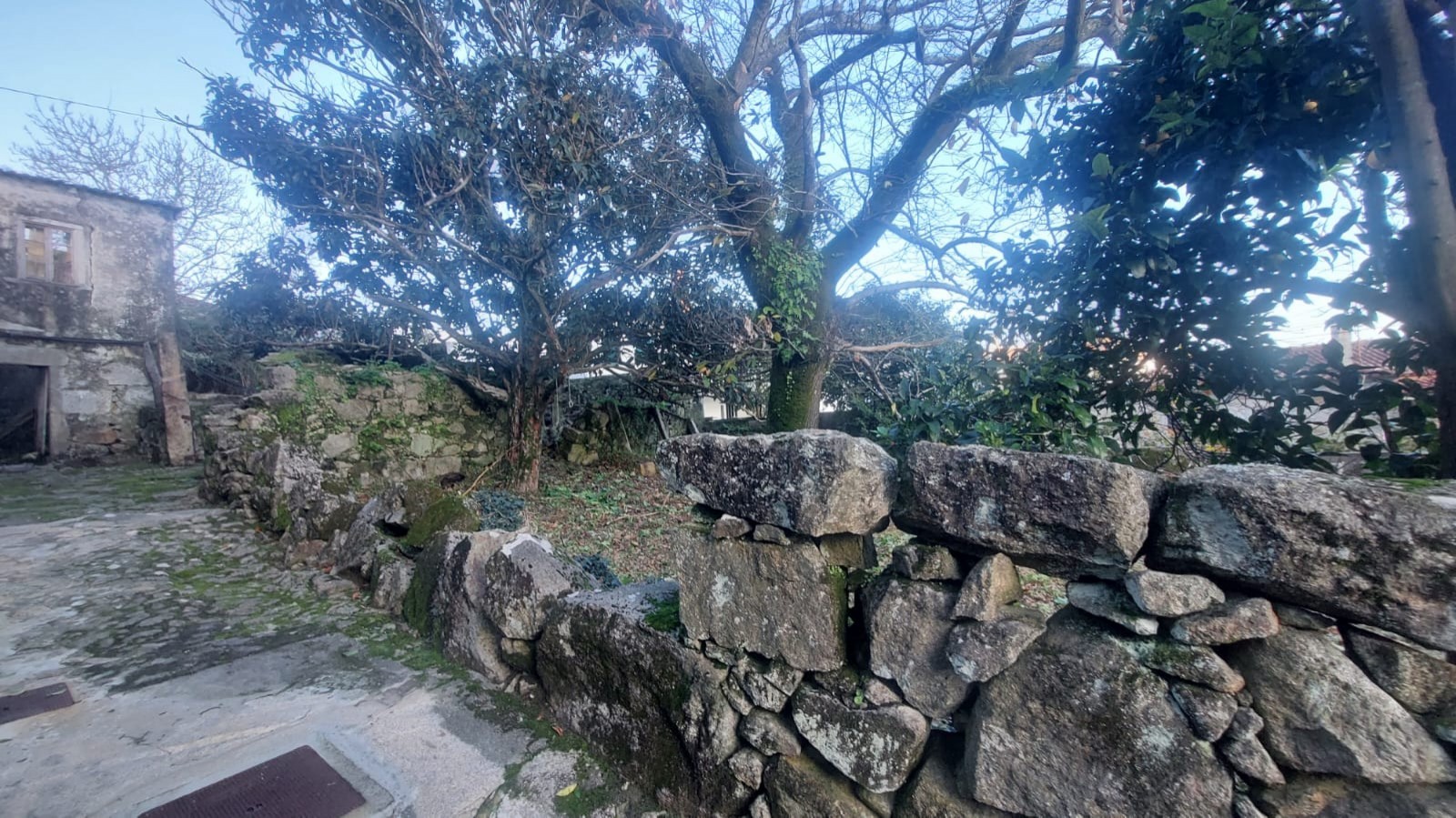 5b0e16ac-90f1-4a6f-b66b-5a32681d534ajpeg