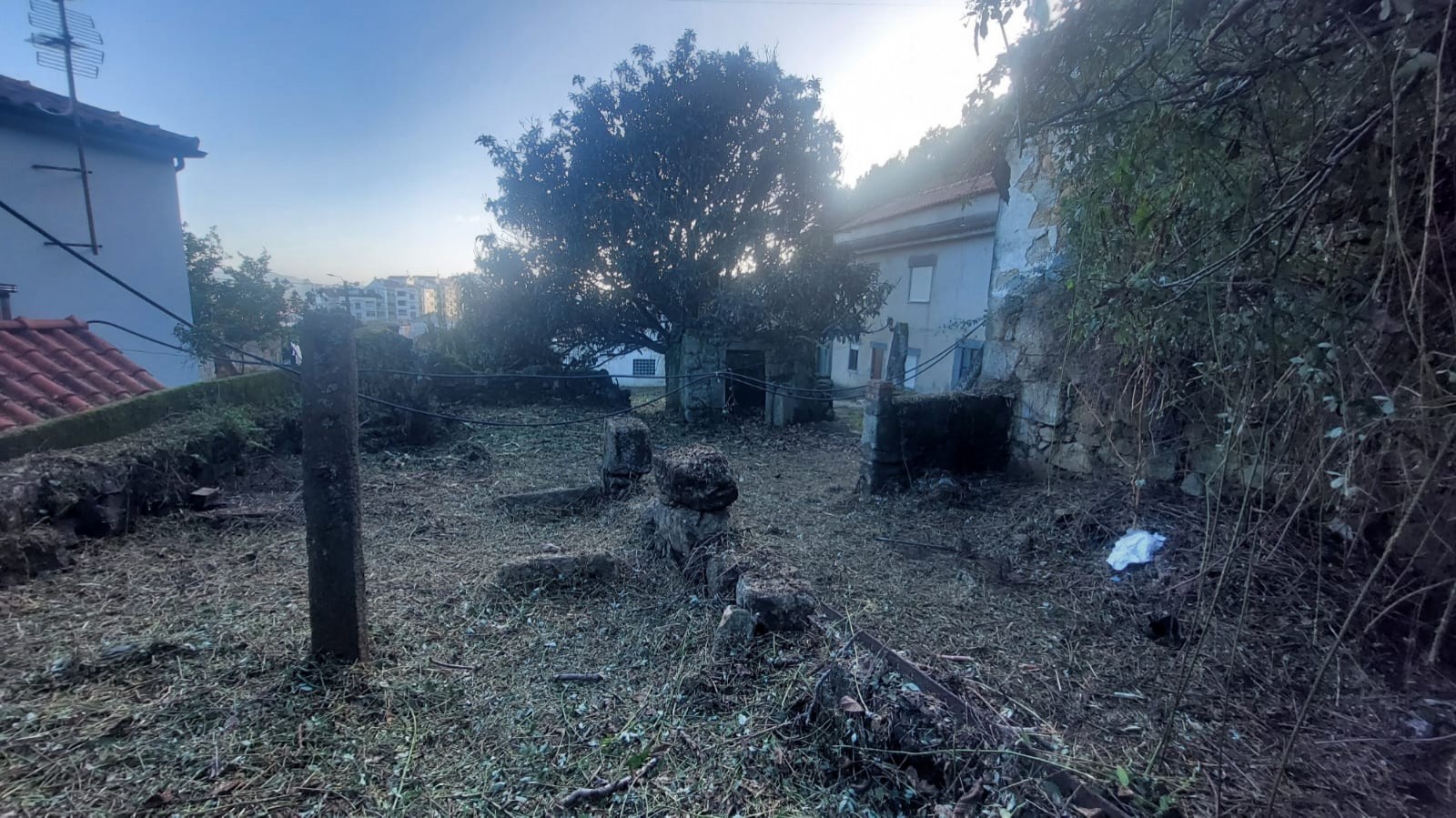 4e13a546-8eb8-4025-8b1b-462cf0aed0a0jpeg