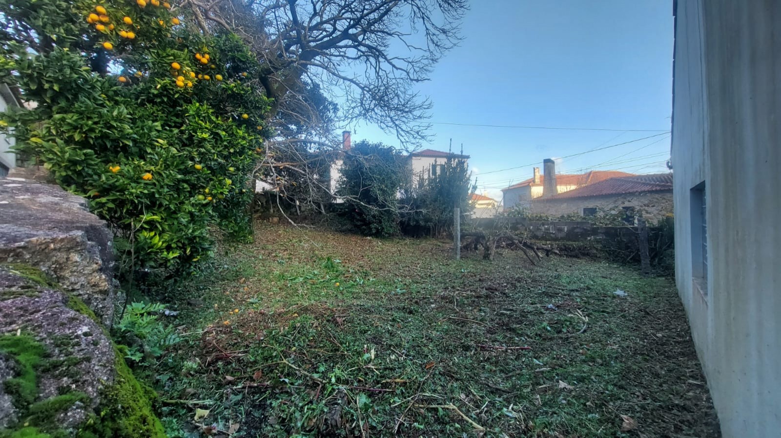 7e7db1ef-cd06-4a4c-9fa3-03ad286a71a1jpeg